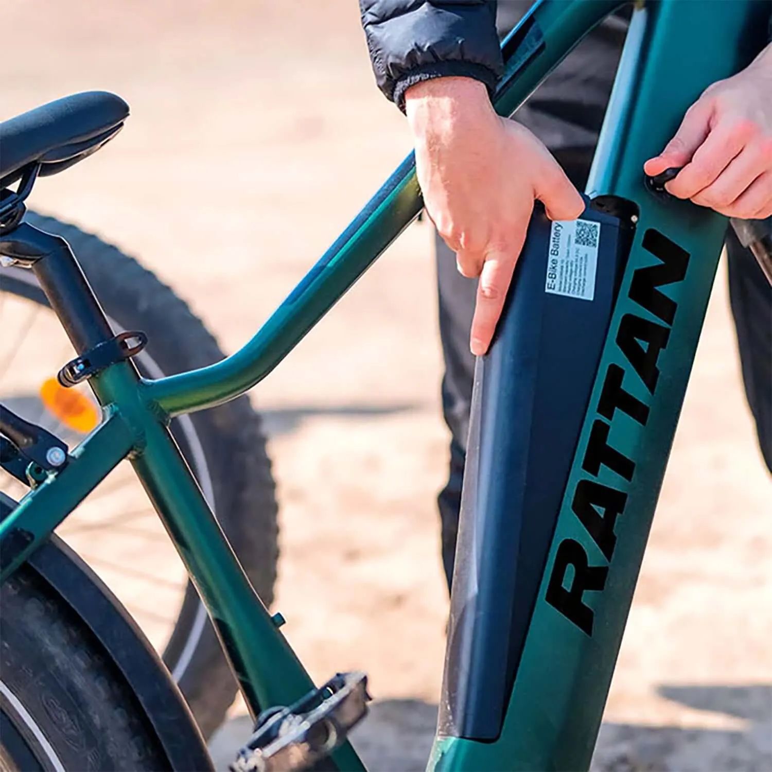 Rattan Pathfinder Step-Over Fat Tire Electric Bike